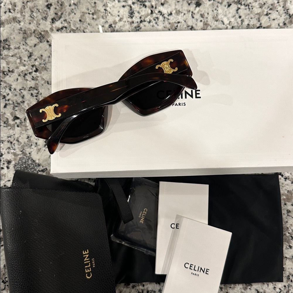 Celine Women's Triomphe 08 Acetate Sunglasses